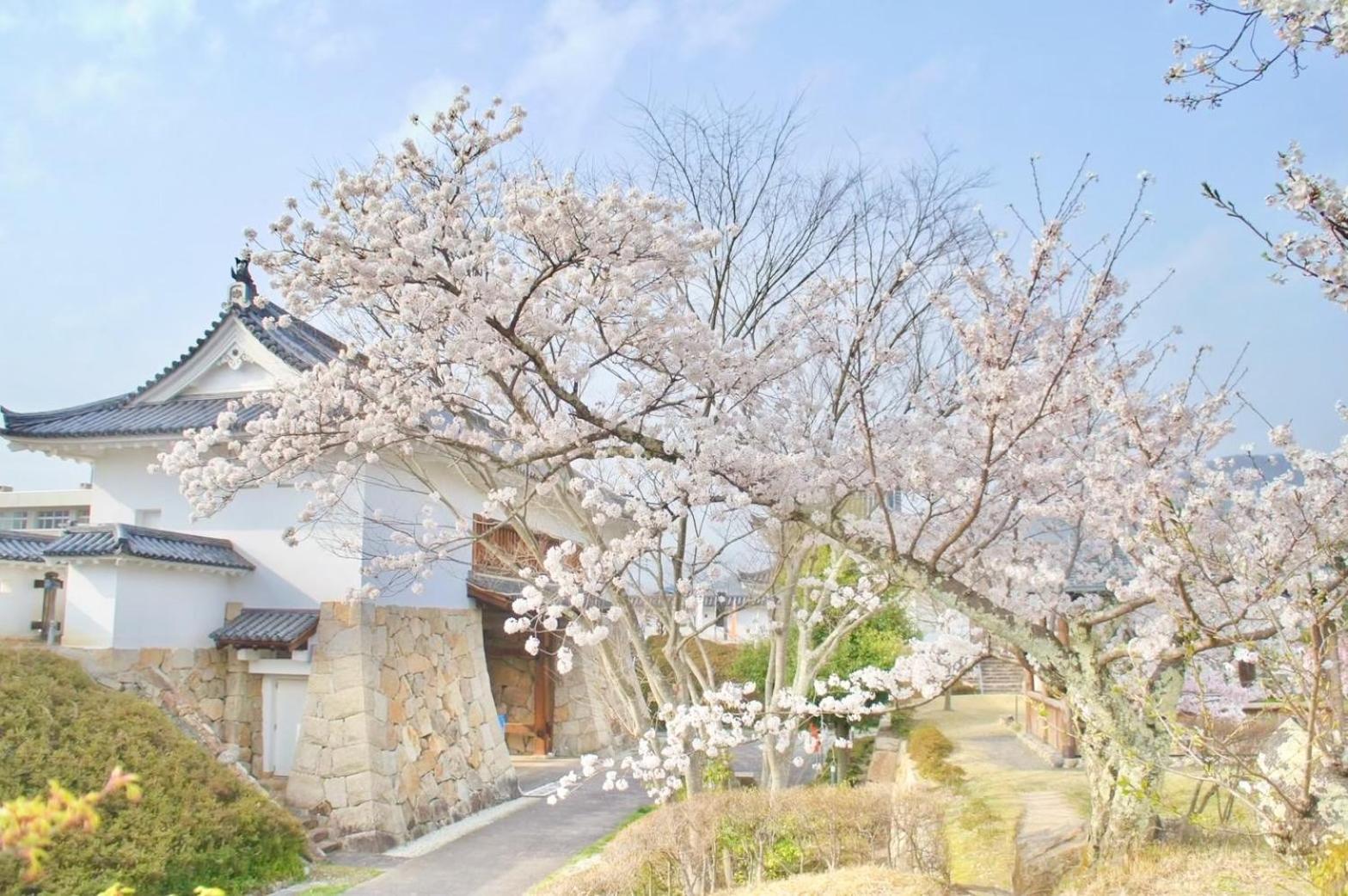 古民家の宿宰嘉庵 Traditionaljapanisehotel Saikaan Maizuru Exterior photo